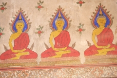 The old ubosot of Wat Bang Peng94