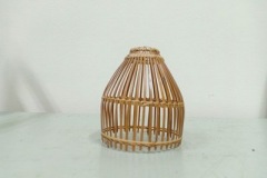 basketrypanut-33