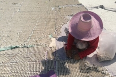 local-information-63-27