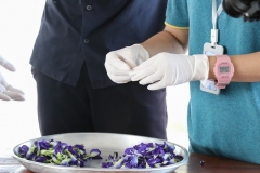 15.แกะดอกอัญชัน