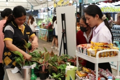 20241128-80D-bookfair-30