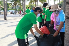  Garbage collection 2024_65