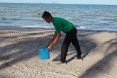  Garbage collection 2024_12