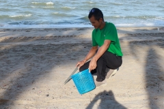  Garbage collection 2024_13