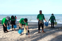  Garbage collection 2024_16