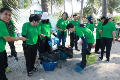  Garbage collection 2024_58