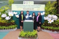 20241121-green-library-02