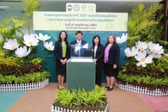 20241121-green-library-03