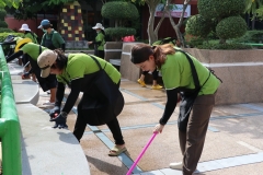 bigcleaning02-06-66-25