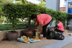 bigcleaning02-06-66-45