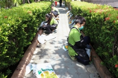 bigcleaning02-06-66-46