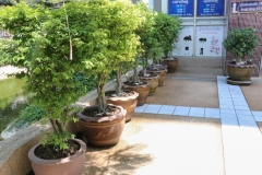 bigcleaning02-06-66-59