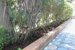 bigcleaning02-06-66-64