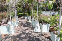 bigcleaning02-06-66-65