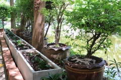 bigcleaning02-06-66-74