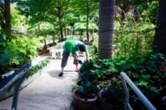 ภาพบรรยากาศกิจกรรม big-clean