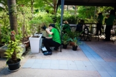 ภาพบรรยากาศกิจกรรม big-clean