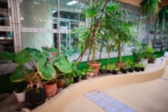 ภาพบรรยากาศกิจกรรม big-clean