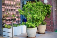 ภาพบรรยากาศกิจกรรม big-clean