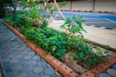 ภาพบรรยากาศกิจกรรม big-clean