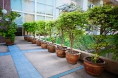 ภาพบรรยากาศกิจกรรม big-clean