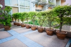 ภาพบรรยากาศกิจกรรม big-clean