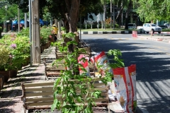 64980701_2240357436083102_4991903555993468928_n