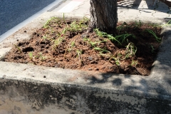 65042973_2240354949416684_5361101577572581376_o