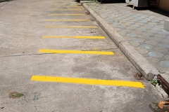 65058008_2240356406083205_7785007783144849408_o