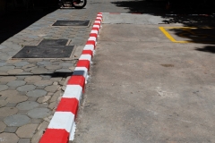 65311299_2240357562749756_1565140740416208896_o