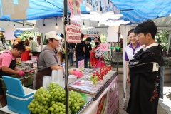 25661220-bookfair2024-009