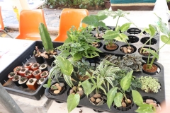 25661222-bookfair2024-130