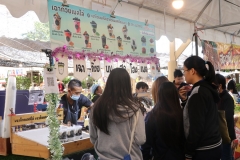 25661222-bookfair2024-152