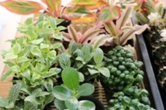 DIY-by-YOU27-07-66-1