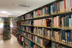 52574096_2203243813259269_3277279695770484736_n