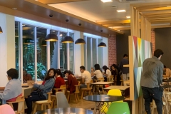 52800528_1249906291852514_8942647253491777536_n (1)