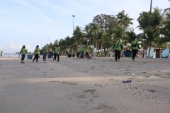 thumbs_25650614-Green-Library-0013