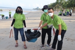 thumbs_25650614-Green-Library-0020