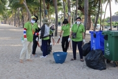 thumbs_25650614-Green-Library-0057