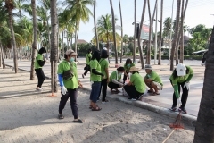 thumbs_25650614-Green-Library-0067