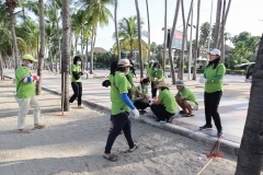 thumbs_25650614-Green-Library-0068