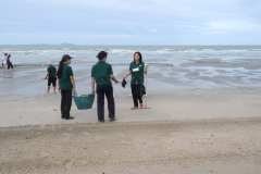 garbage-collection-66-13