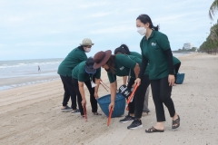 garbage-collection-66-27