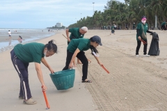 garbage-collection-66-37