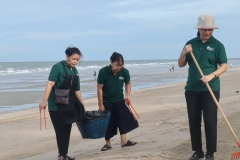 garbage-collection-66-39