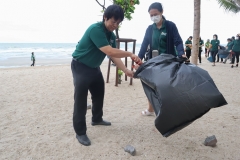 garbage-collection-66-5