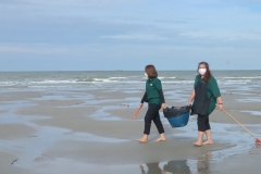 garbage-collection-66-57