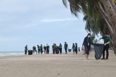 garbage-collection-66-61