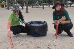 garbage-collection-66-77