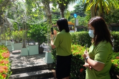 Green-Library-Assessment-65-14